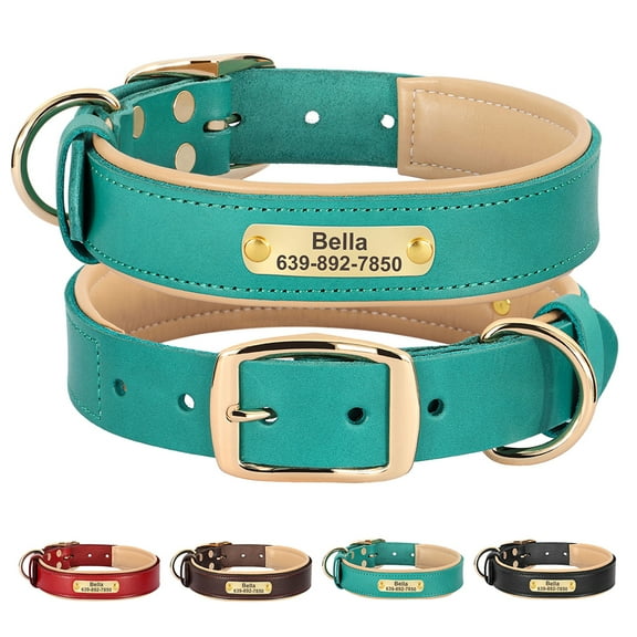 Didog Personalized Genuine Leather Padded Dog Collars Engraved Nameplate with D ring