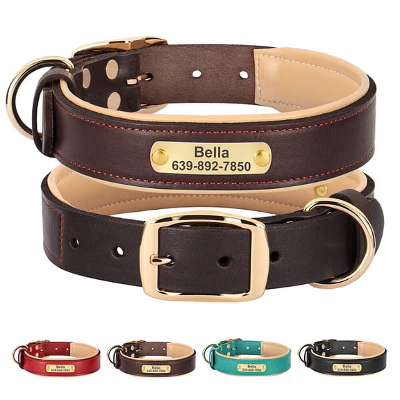 Didog Personalized Genuine Leather Padded Dog Collars Engraved Nameplate with D ring
