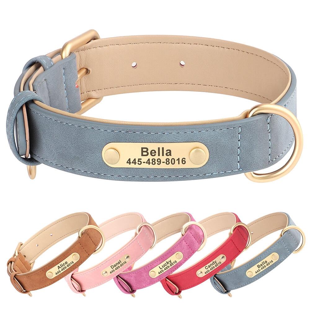 Curated visual reference: Didog Personalized Leather Cat Dog Pet Collar With Nameplate Custom Photo Inspiration