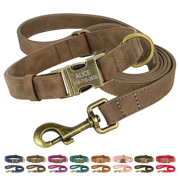 Didog Personalized Leather Dog Collar and Leash Set with Brass Buckle Adjustable XS-L
