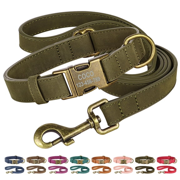 Didog Personalized Leather Dog Collar and Leash Set with Brass Buckle Adjustable XS-L