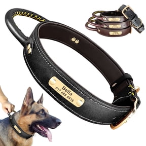 Didog Personalized Leather Dog Collar with Handle Durable Engraved Collars Adjustable