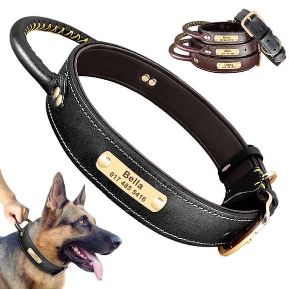 Didog Personalized Leather Dog Collar with Handle Durable Engraved Collars Adjustable