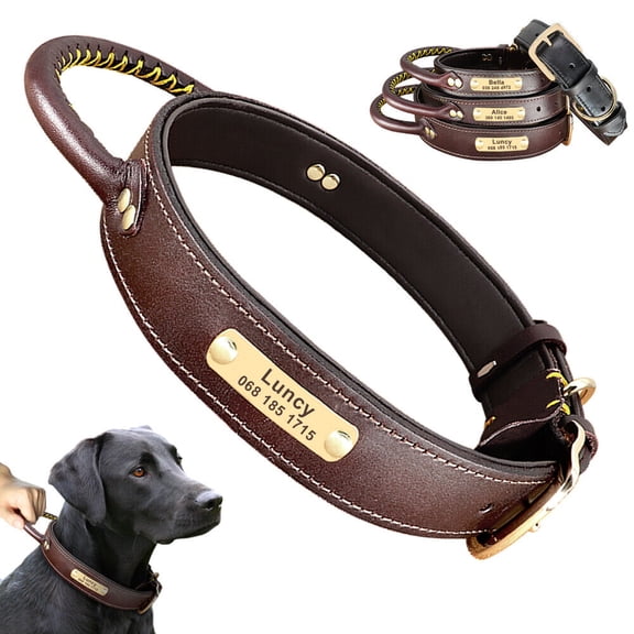 Didog Personalized Leather Dog Collar with Handle Durable Engraved Collars Adjustable