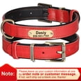thumbnail image 1 of Didog Personalized Leather Name Dog Collar Soft Padded Adjustable for Small Large Pets, 1 of 6