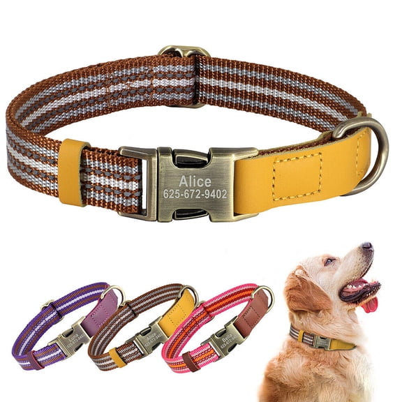 Didog Personalized Nylon Dog Collar Engraved Brass Buckle with Name and Phone S M L