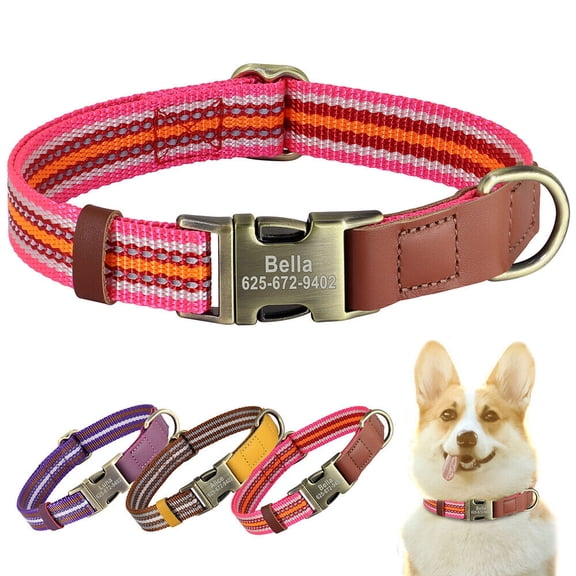 Didog Personalized Nylon Dog Collar Engraved Brass Buckle with Name and Phone S M L
