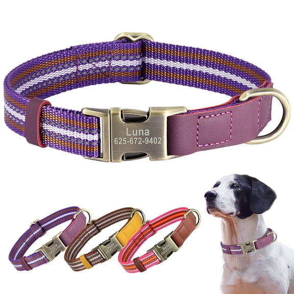 Didog Personalized Nylon Dog Collar Engraved Brass Buckle with Name and Phone S M L