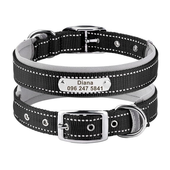 Didog Reflective Soft Padded Nylon Personalized Dog Collar Adjustable Name & Number Engraved for Small/Large Dogs