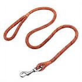 Didog Rope Braided Leather Dog Leash Leashes for Small Medium Dogs Chihuahua French Bullodg