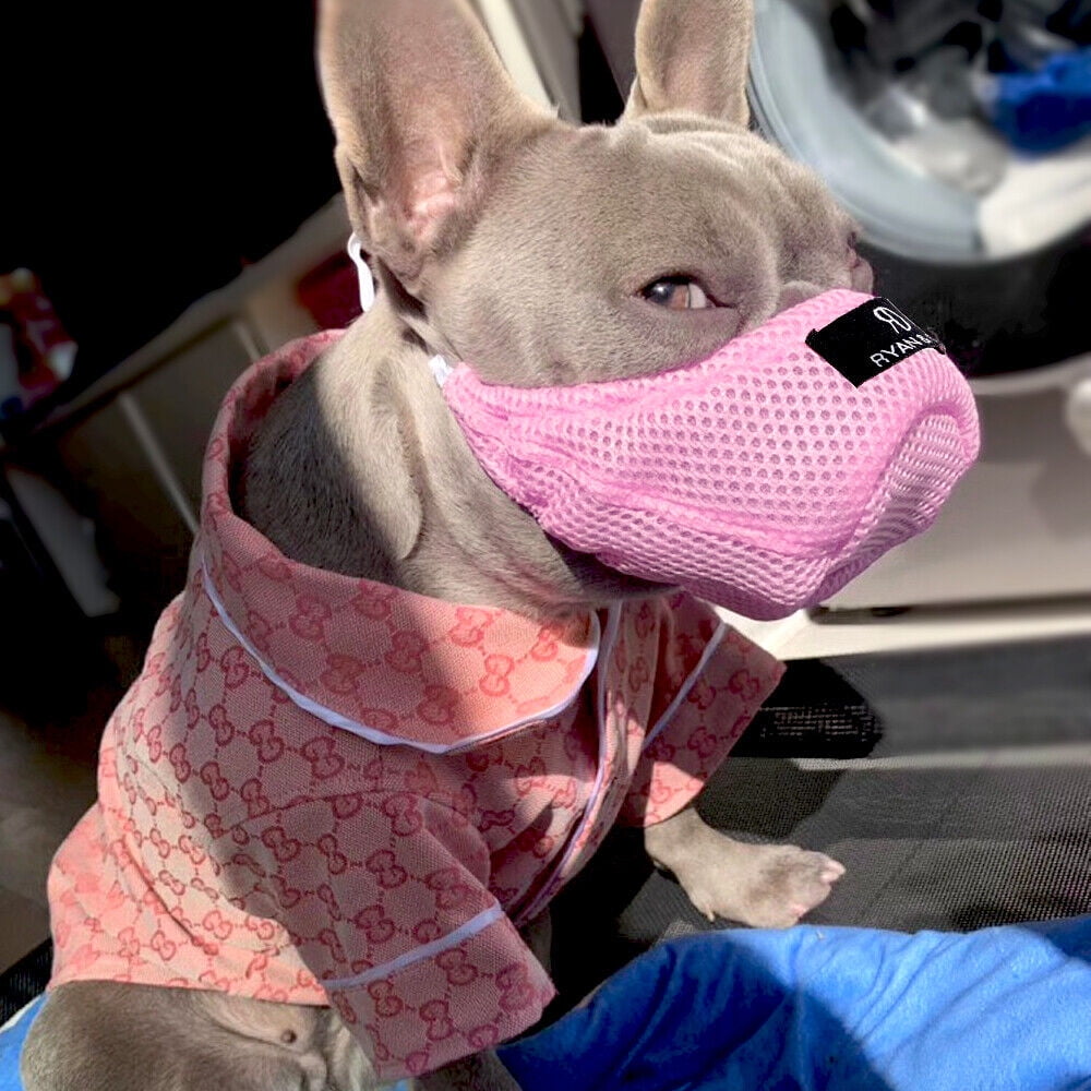 Crazy Felix Nylon Dog Muzzle for Small Medium Large Dogs Air Mesh Breathable and Drinkable Pet Muzzle for Anti-Biting Anti-Barking Licking (L Ora Crazy Felix Nylon Dog Muzzle for Small to Medium Dogs