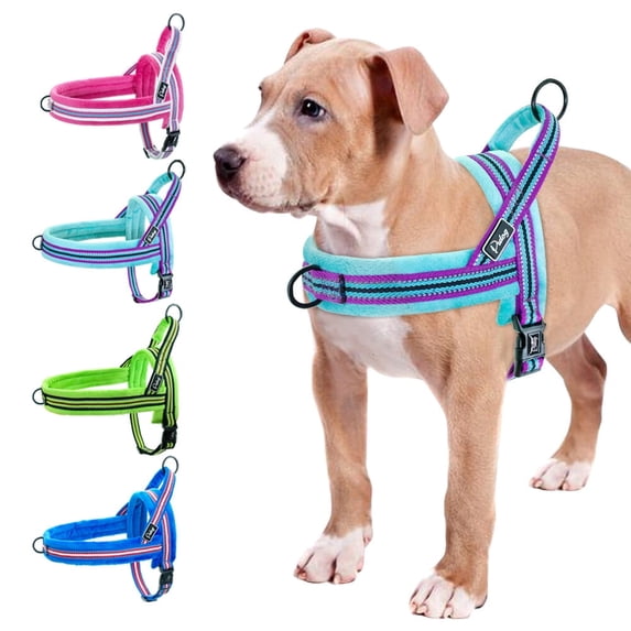 Didog Soft Flannel Padded Dog Vest Harness, Escape Proof/Quick Fit Reflective Dog Strap Harness,Easy for Walking Training(Blue,S)