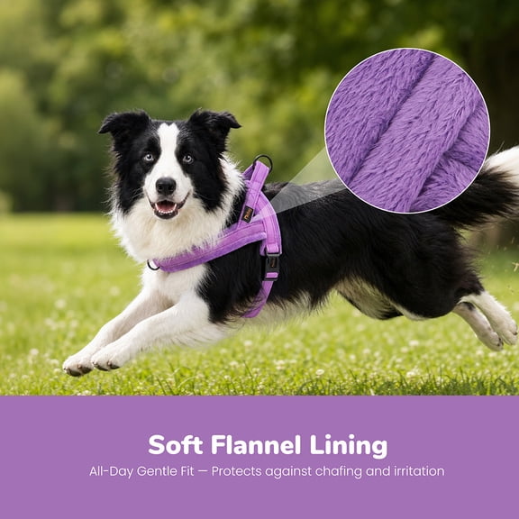 Didog Soft Flannel Padded No-Pull Dog Harness, Reflective Escape-Proof Vest, Quick-Fit Adjustable Strap for Safe Walking, Training & Outdoor Adventures(Purple,M)