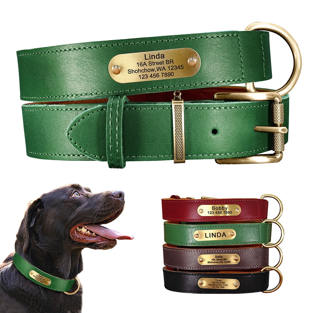Didog Soft Genuine Leather Dog Collar Custom Pet Nameplate Heavy Duty