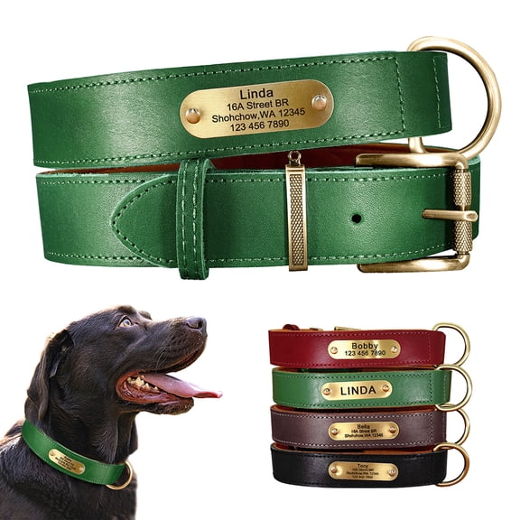Didog Soft Genuine Leather Dog Collar Custom Pet Nameplate Heavy Duty Free Engraved XS-XL