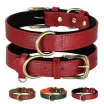 Didog Soft Leather Dog Collar Heavy Duty Durable Brass Buckle for Small Medium Large Dogs Brown Red Green