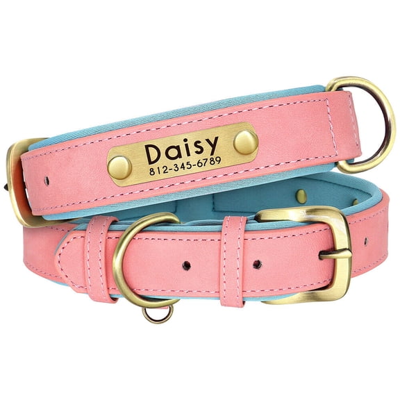 Didog Soft Leather Padded Dog Collar Customized Personalized Adjustable Pet Name and Number Engraved