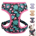 thumbnail image 1 of Didog Soft Mesh No Pull Dog Harness Adjustable Breathable Pet Puppy Control Vest XS-L, 1 of 5