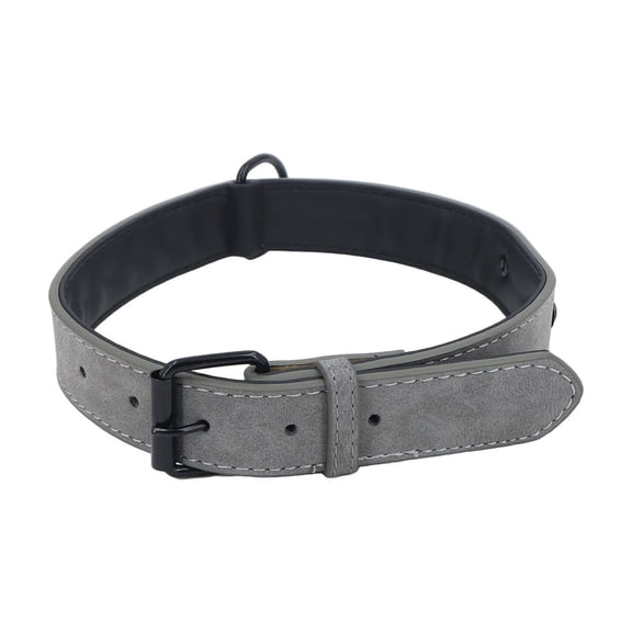 Didog Soft Padded Leather Dog Collar, Breathable Heavy-Duty Leather Collar With Adjustable Rust-Proof Metal Buckle - Gray, For Small Medium Large Dogs XS