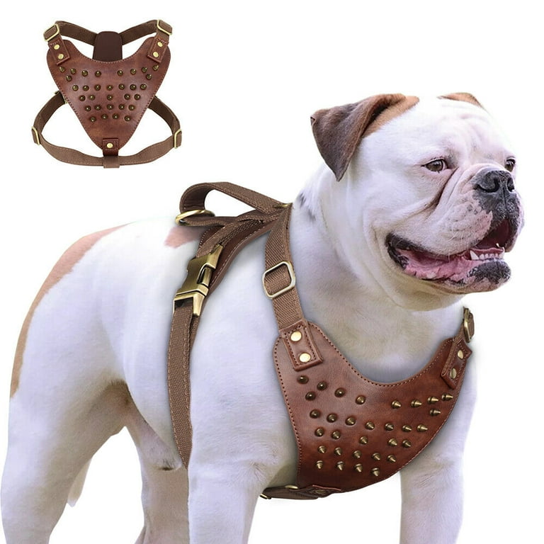 Didog dog harness sale