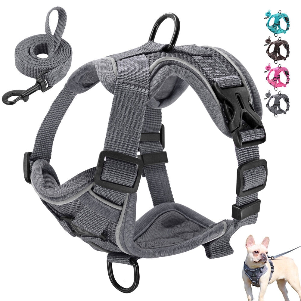 Picture of Didog Step In Reflective Dog Cat Harness and Leash set Choke-Free Mesh ...