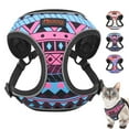 thumbnail image 1 of Didog Step-in Breathable Mesh Pet Puppy Dog Harness Reflective Escape Proof Cat Walking Vest Adjustable for Small Medium Dogs Blue/Hot Pink/White, 1 of 6