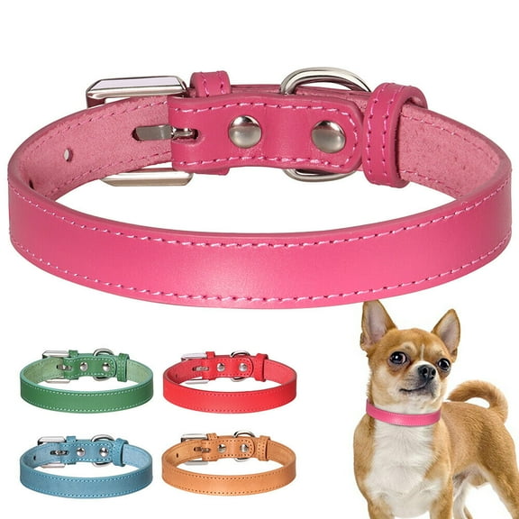 Didog Thin Plain Leather Dog Collar for Small Dogs Pet Puppy Cat Necklace Chihuahua S M