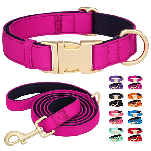 Didog Waterproof Durable Nylon Dog Collar and Matching Leash set Soft Padded Metal Buckle for Small/Medium/Large Breeds 8 Colors