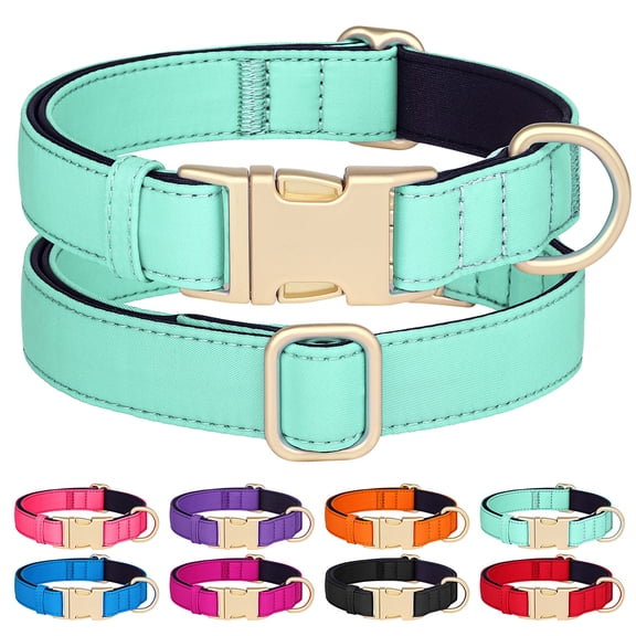 Didog Waterproof Durable Nylon Dog Pet Collars Soft Neoprene Padded Metal Buckle and D-ring,Breathable and Lightweight,Adjustable for Small Medium Large Dogs