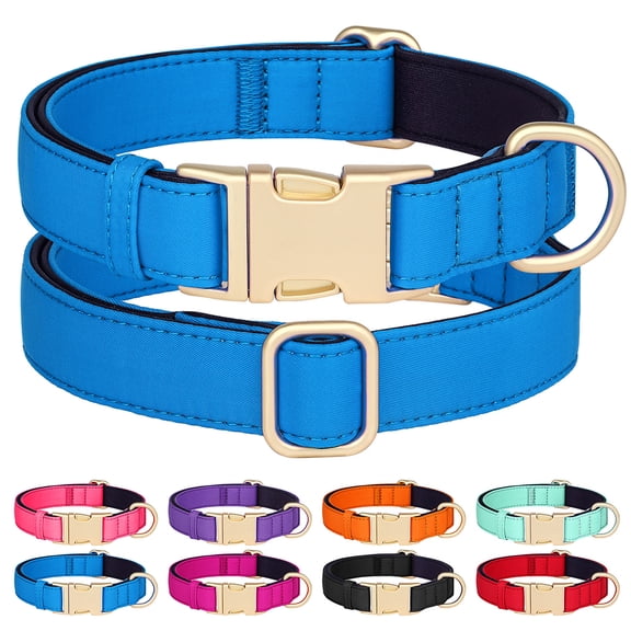Didog Waterproof Durable Nylon Dog Pet Collars Soft Neoprene Padded Metal Buckle and D-ring,Breathable and Lightweight,Adjustable for Small Medium Large Dogs