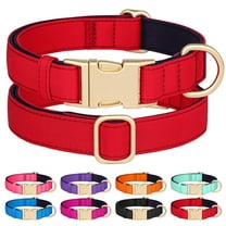 Didog Waterproof Durable Nylon Dog Pet Collars Soft Neoprene Padded Metal Buckle and D-ring,Breathable and Lightweight,Adjustable for Small Medium Large Dogs