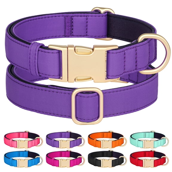 Didog Waterproof Durable Nylon Dog Pet Collars Soft Neoprene Padded Metal Buckle and D-ring,Breathable and Lightweight,Adjustable for Small Medium Large Dogs