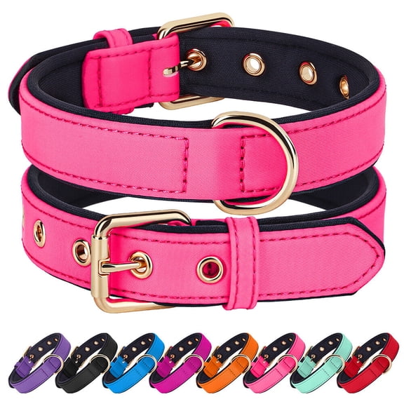 Didog Waterproof Nylon Dog Collar Soft Padded Adjustable Metal Buckle with D-Ring S-L