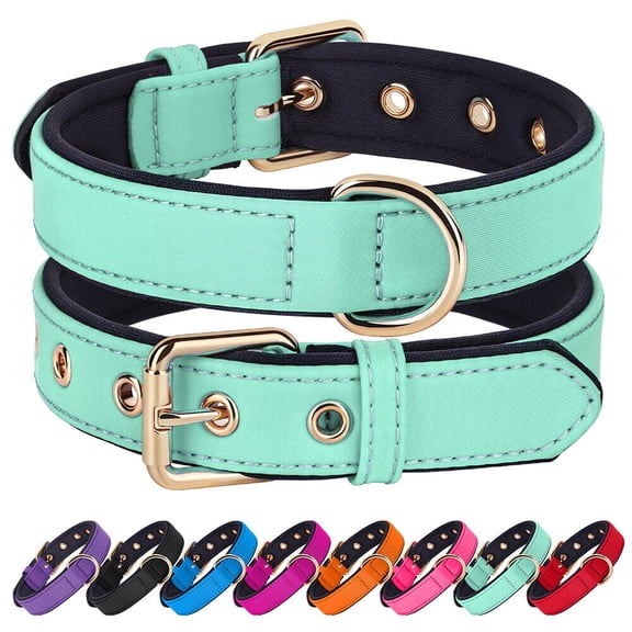 Didog Waterproof Nylon Dog Collar Soft Padded Adjustable Metal Buckle with D-Ring S-L