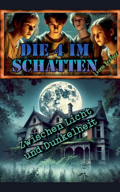 Die 4 Im Schatten Die 4 im Schatten: Zwischen Licht und Dunkelheit, Book 1, (Paperback)