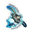 thumbnail image 1 of Die Cut Sticker Charleston, South Carolina, Sea Turtle Diving, Contour Vinyl Sticker 1 to 3 inches (Waterproof Decal for Cars, Water Bottles, Laptops, Coolers), Small, 1 of 5