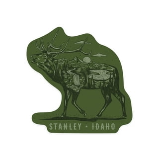 STANLEY IDAHO NIGHT 1919 STICKER