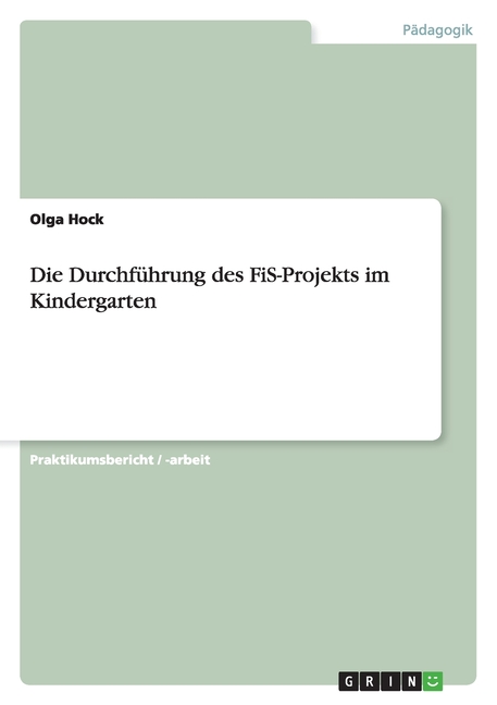 Die Durchführung des FiS-Projekts im Kindergarten (Paperback)