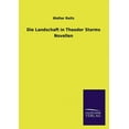thumbnail image 1 of Die Landschaft in Theodor Storms Novellen (Paperback), 1 of 1