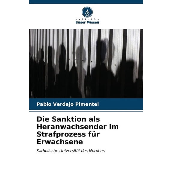 Die Sanktion als Heranwachsender im Strafprozess für Erwachsene (Paperback)