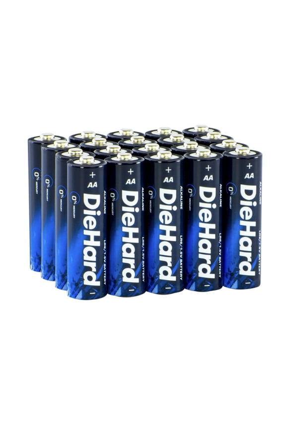 AA Alkaline Battery (20 Pack)