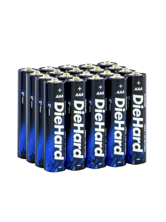 AAA Alkaline Battery (20 Pack)