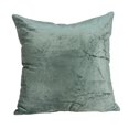thumbnail image 1 of Diego Sea Foam Square Transitional Pillow Cover with Poly Insert - 20 x 20 x 7 in., 1 of 1