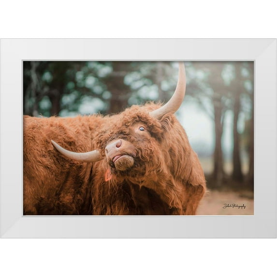 Diener, Dakota 18x13 White Modern Wood Framed Museum Art Print Titled - Highland Itch