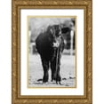 thumbnail image 1 of Diener, Dakota 23x32 Gold Ornate Wood Framed with Double Matting Museum Art Print Titled - Single Cow, 1 of 4