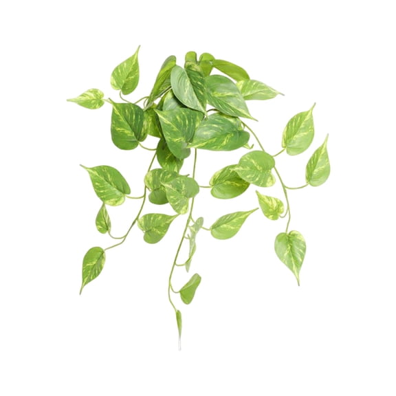 Dienrx 50Cm Artificial Pothos Hanging Plant with White Ceramic Pot, Realistic Indoor Greenery for Home Decor, Desk, Shelf, Bathroom, and Office Decoration, Easy to Assemble