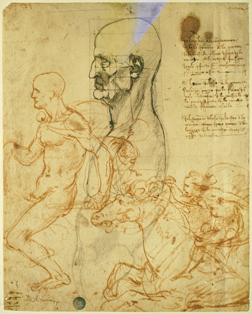Dies Of Proportions And For The Battle Of Anghiari (Male Torso In Profile With Scheme Of Proportions Canvas Art - (18 x 24)