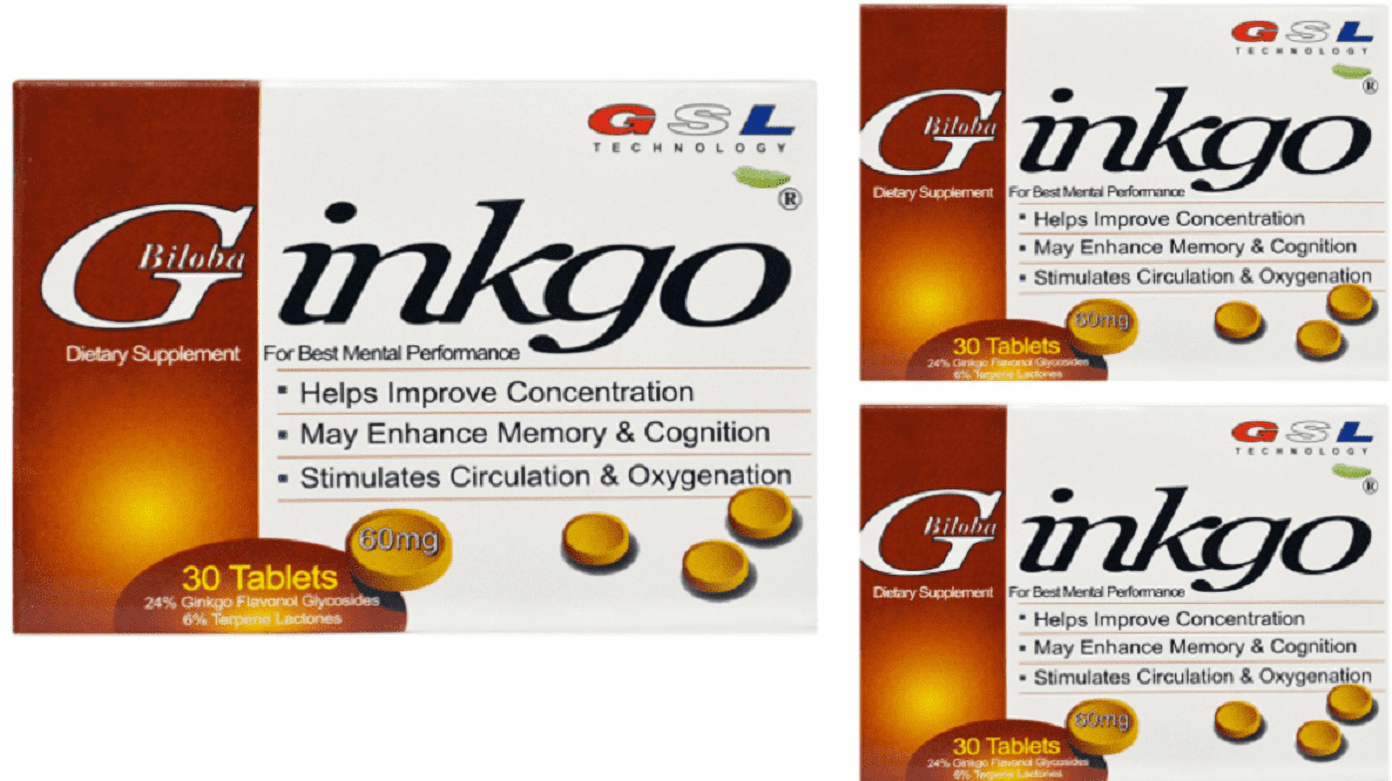 Diet Supplement Ginkgo Biloba 60Mg 30 ct Pack of 3