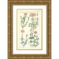 thumbnail image 1 of Dietrich, David 21x32 Gold Ornate Wood Framed with Double Matting Museum Art Print Titled - Ice Plant, 1 of 4