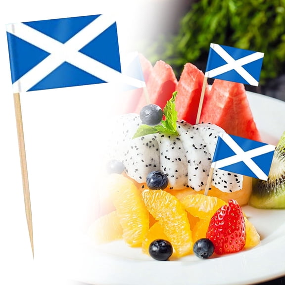 Different Countries Toothpick Flag,100 Pcs Mini Flags on Sticks for World Cup, Flag Cupcake Toppers for Olympics Party Decorations, International Toothpick Flags Cocktail Picks